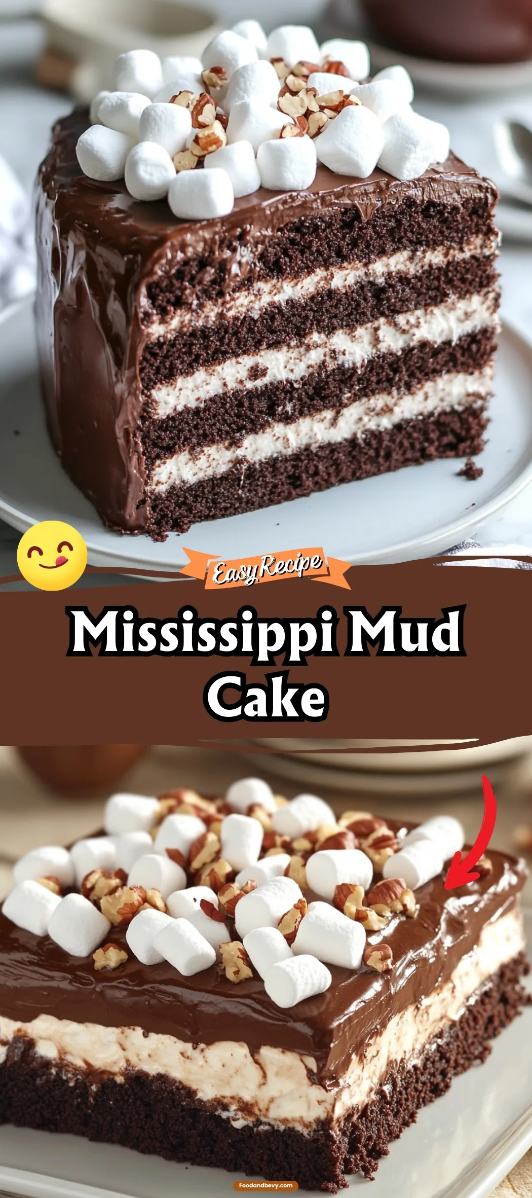 Mississippi Mud Cake