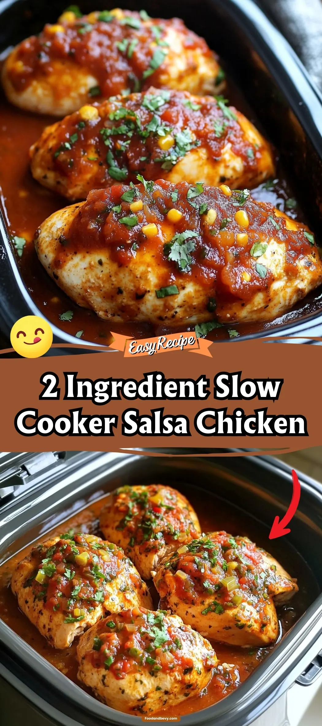 Easy 2 Ingredient Slow Cooker Salsa Chicken